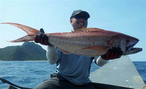 maya maya fish|Jobfish (Maya Maya) – Fishing The Philippines.